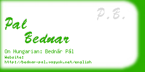 pal bednar business card