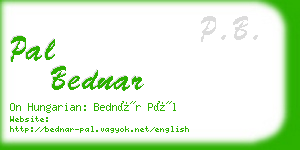 pal bednar business card